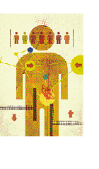 Entre o público e o privado: o financiamento da seguridade social brasileira Entre o público e o privado: o financiamento da seguridade social brasileira