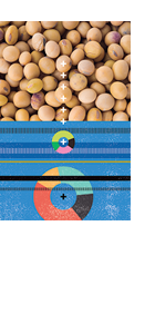 Concentração empresarial nas exportações do complexo soja no Paraguai (2000-2016)– Wellington Luciano dos Santos e Waldemar Junior Concentração empresarial nas exportações do complexo soja no Paraguai (2000-2016)– Wellington Luciano dos Santos e Waldemar Junior
