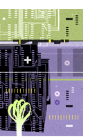 Embrapa e a cooperação científica internacional: do emparelhamento (catching-up) com a revolução verde à liderança tecnológica na agricultura tropical – Petula Ponciano Nascimento e Ana Célia Castro