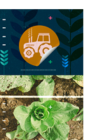 Extensão e políticas públicas de inclusão produtiva da agricultura familiar no Brasil: (des)conexões entre referenciais, ideias e práticas – Diego Neves de Sousa e Paulo André Nierderlel