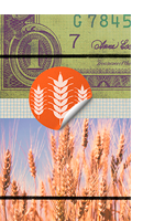 A influência dos fundos de investimentos na formação do preço do trigo na Bolsa de Cereais de Chicago – Argemiro Luís Brum, Daniel Knebel Baggio, Francisca Mendonça de Souza, Daniel Claudy da Silveira e Isoé Nicolas Schneider