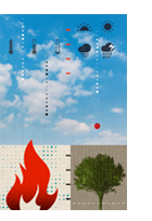 Elementos introdutórios para uma avaliação em Profundidade da Política Nacional de Mudanças Climáticas – Camila Rizzini Freitas e Alcides Fernando Gussi Elementos introdutórios para uma avaliação em Profundidade da Política Nacional de Mudanças Climáticas – Camila Rizzini Freitas e Alcides Fernando Gussi