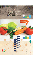 From Catching-Up To Knowledge Governance In The Brazilian Agribusiness – Ana Célia Castro