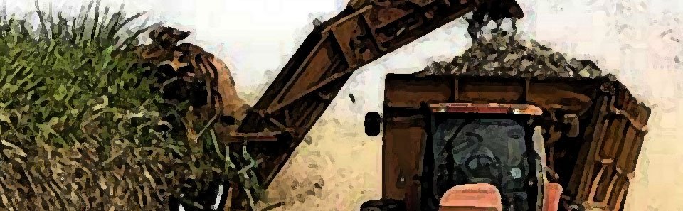 New Economic Thinking, Teaching and Policy Perspectives – 
A Brazilian Perspective within a Global Dialogue