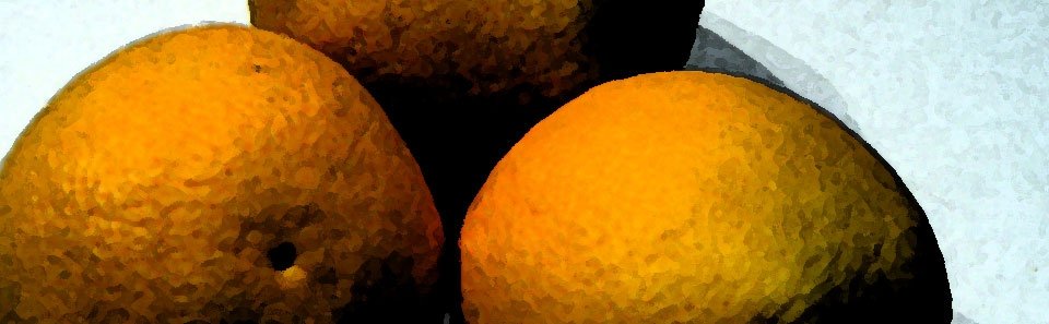 New Economic Thinking, Teaching and Policy Perspectives – 
A Brazilian Perspective within a Global Dialogue